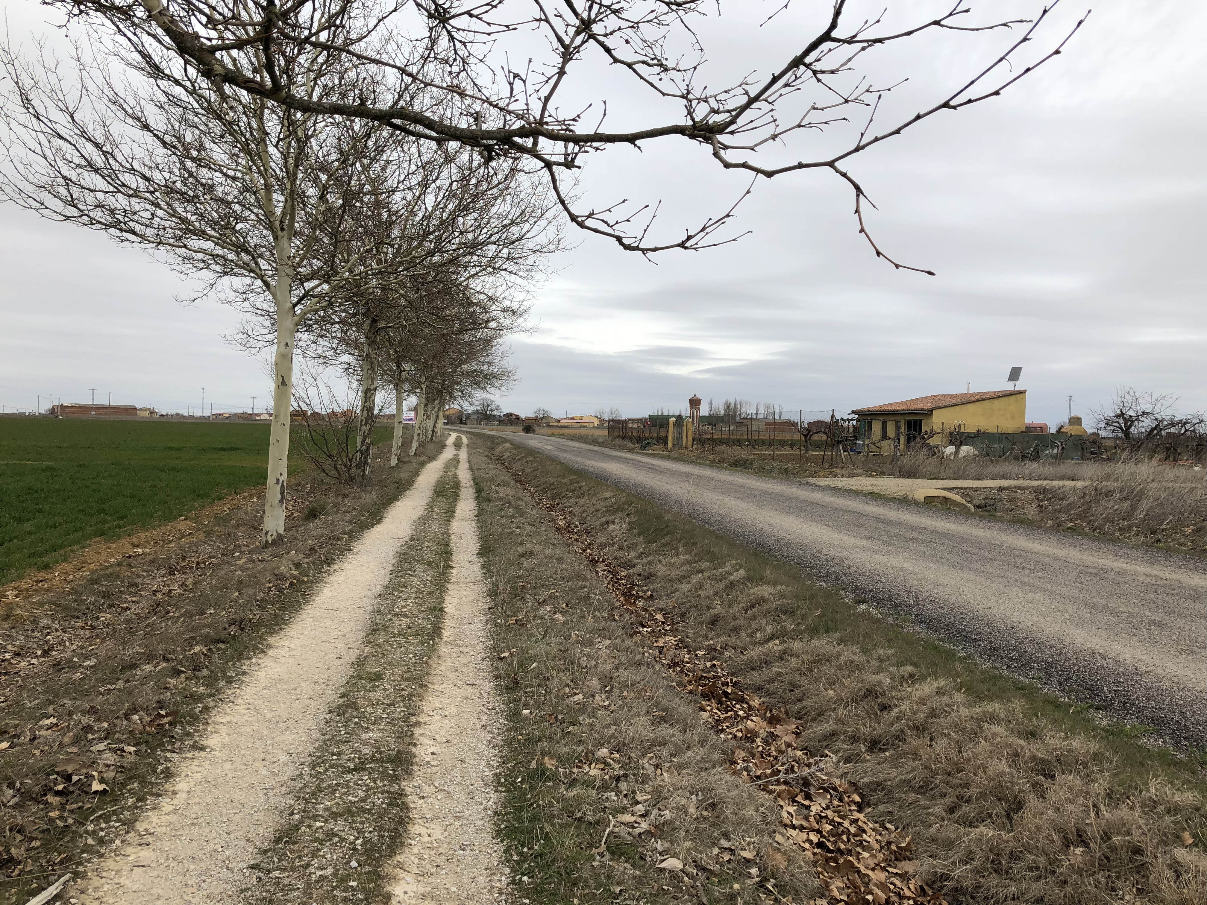 De Sahagún a Mansila de las Mulas