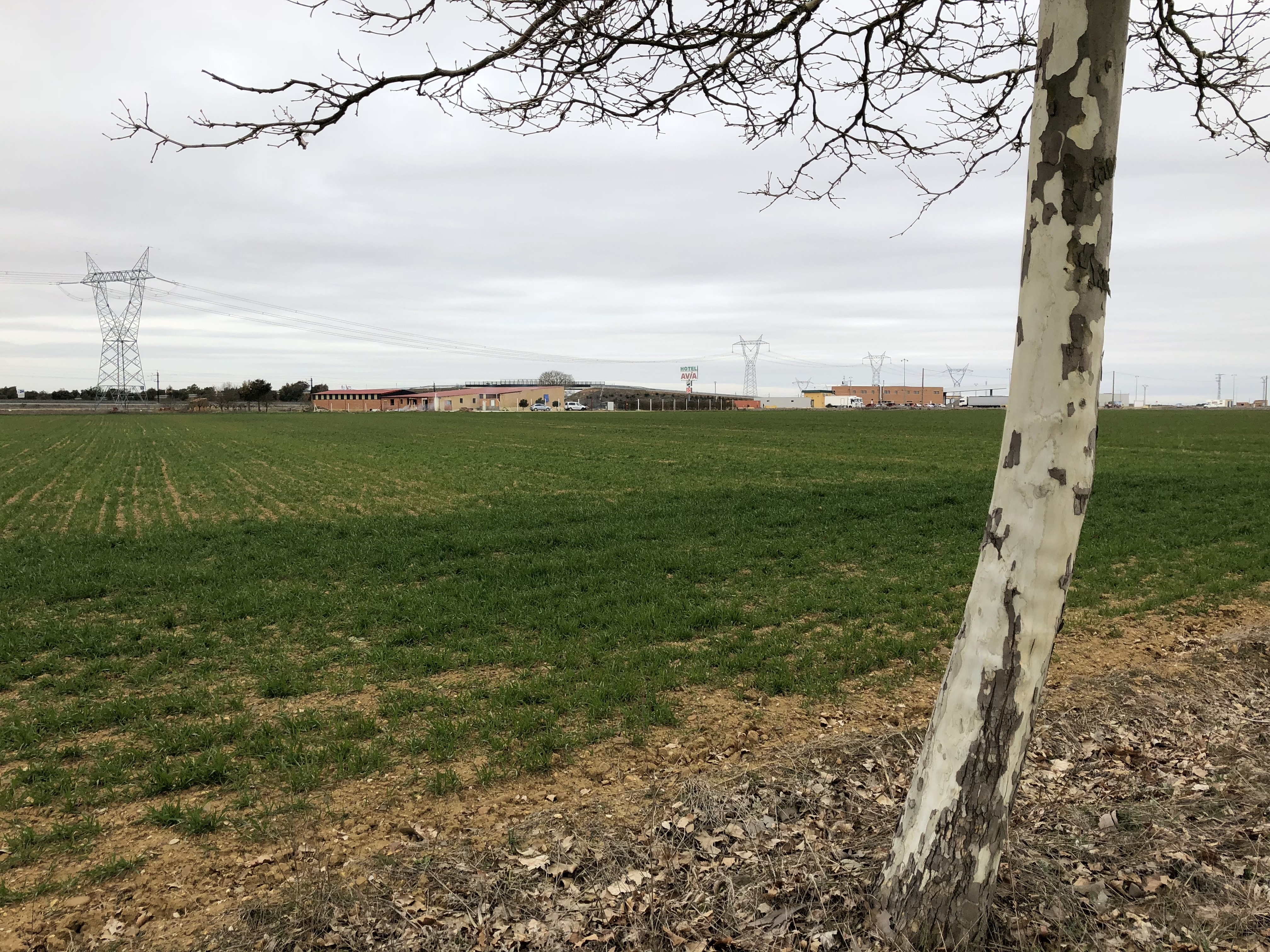 De Sahagún a Mansila de las Mulas