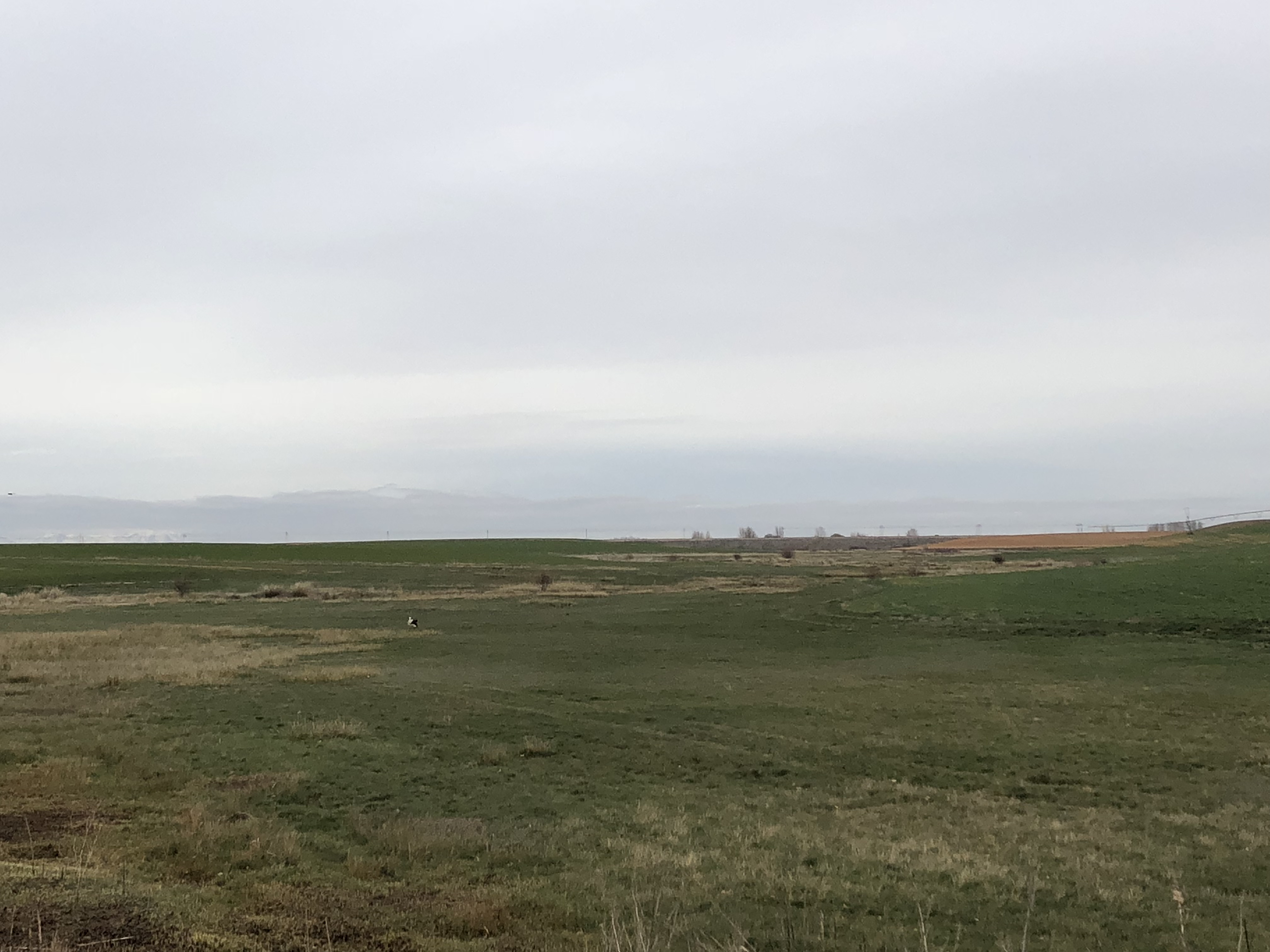 Camino a Mansilla de las Mulas