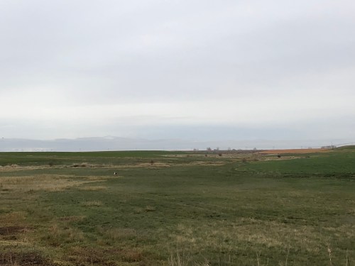 Camino a Mansilla de las Mulas