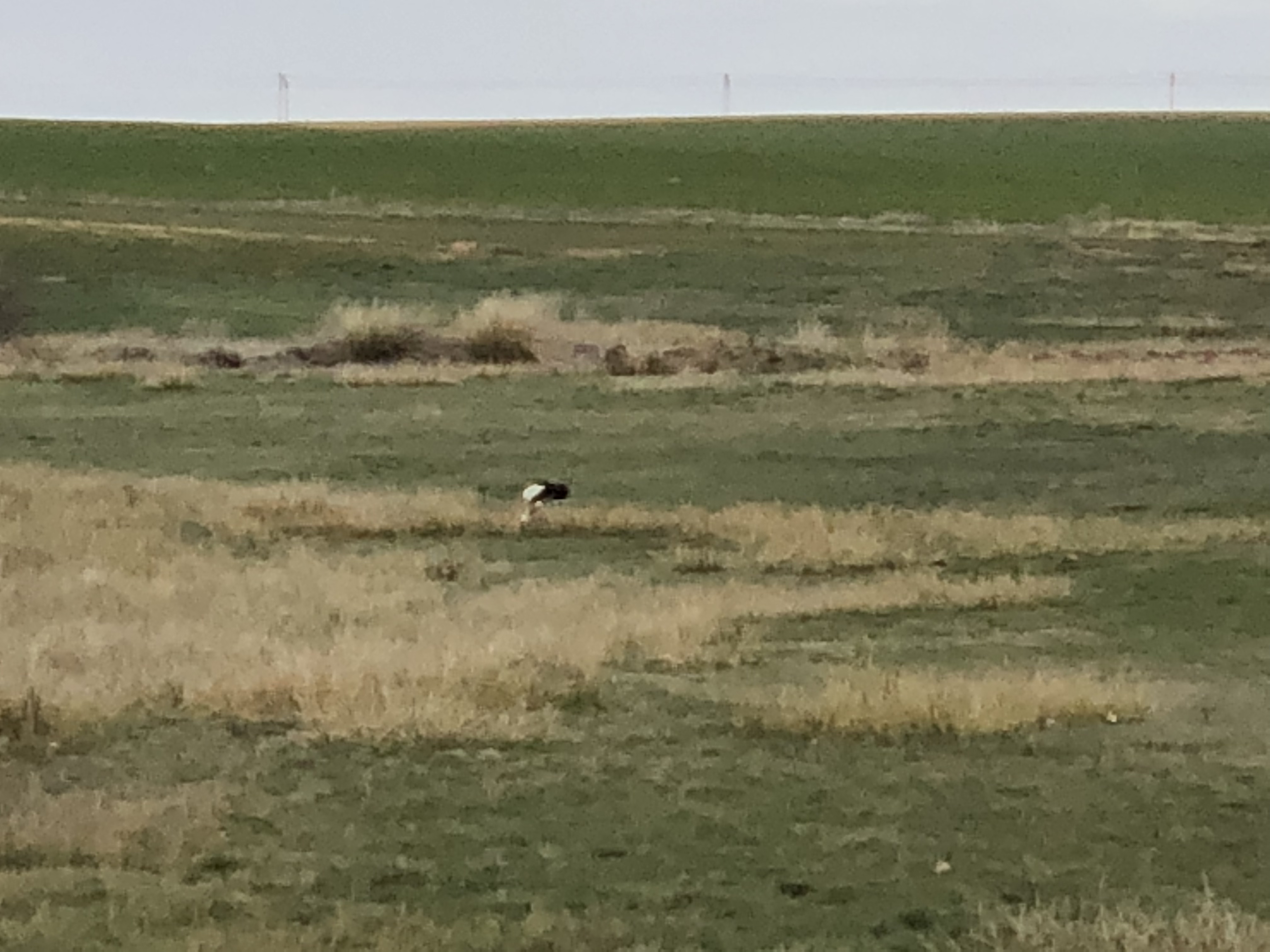 De Sahagún a Mansila de las Mulas