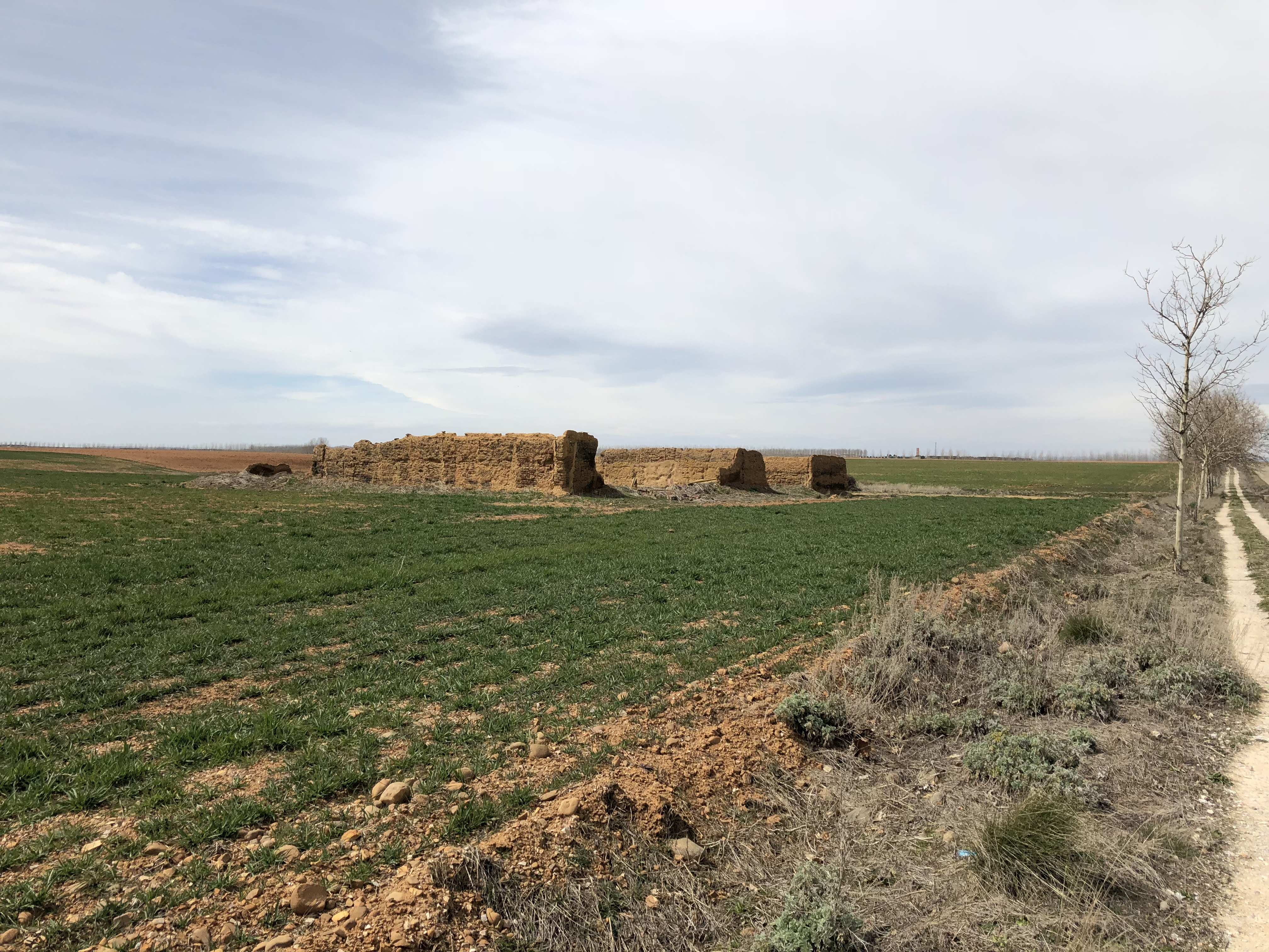 De Sahagún a Mansila de las Mulas