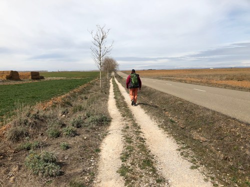 De Sahagún a Mansila de las Mulas