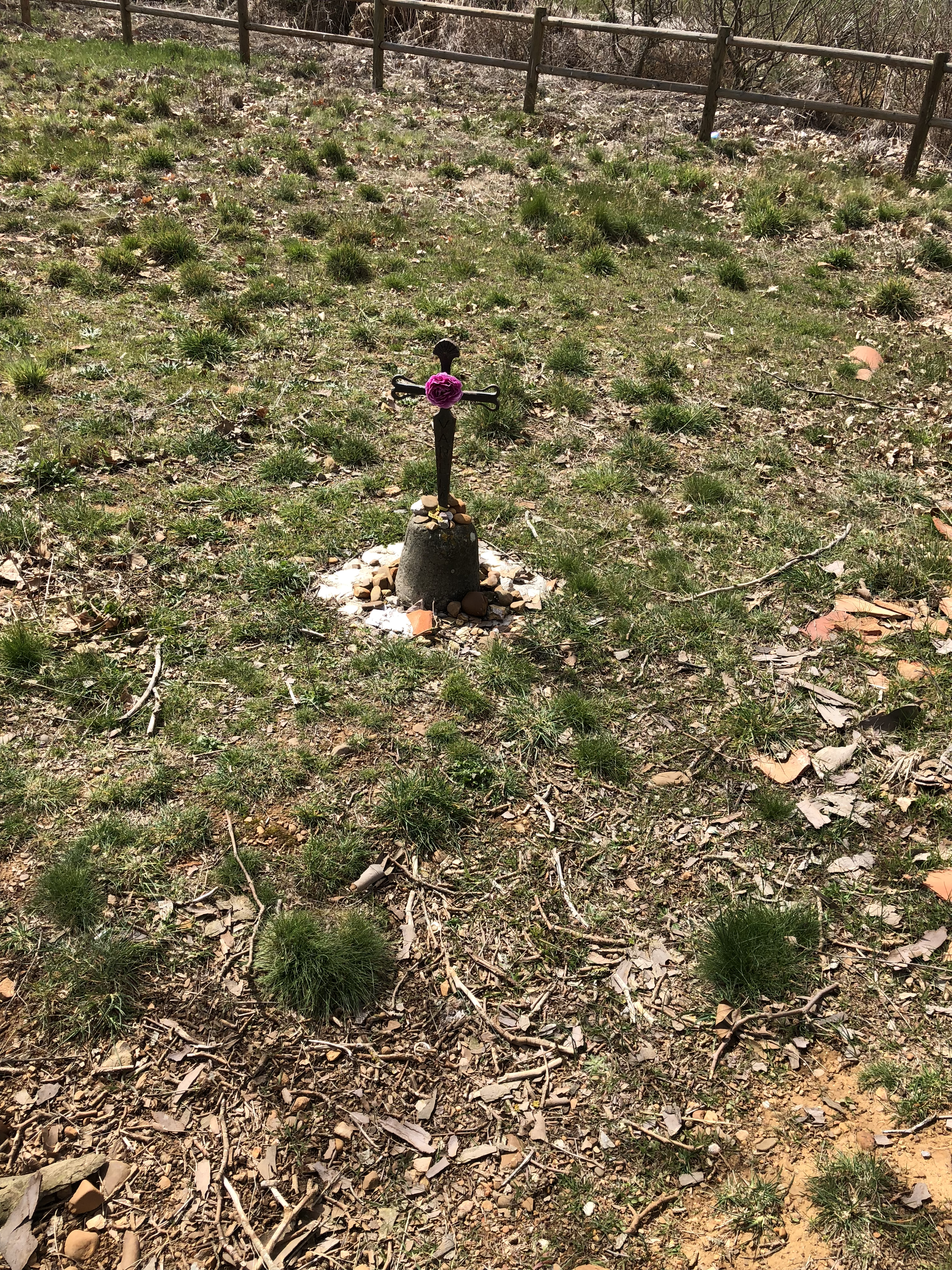 20180401_130119525_iOS