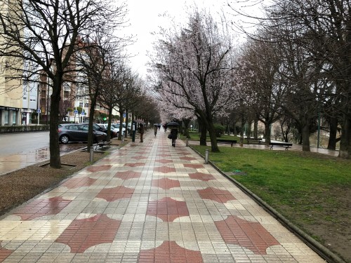 Camino de Mansillas las Mulas a León