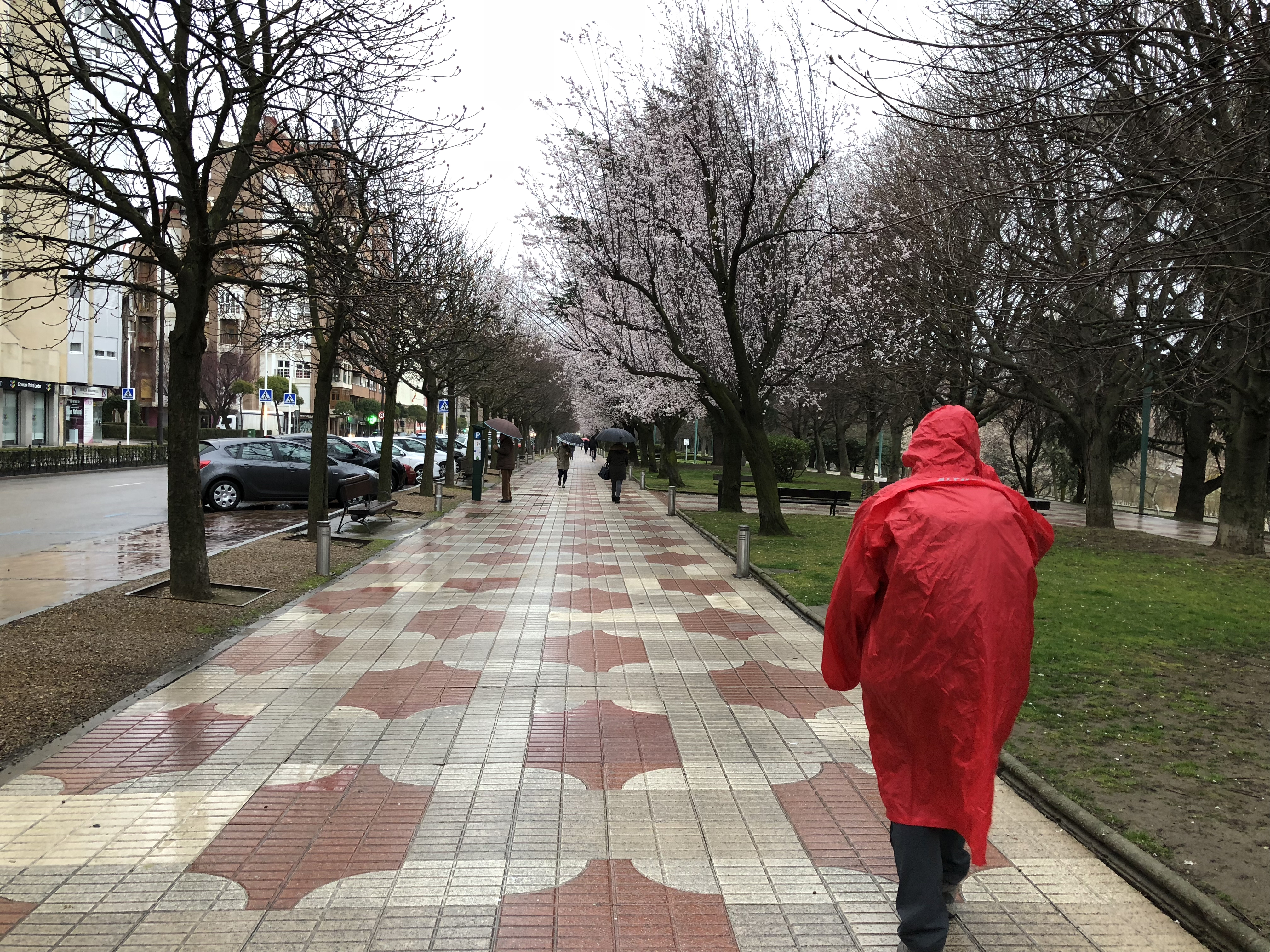 Camino de Mansillas las Mulas a León