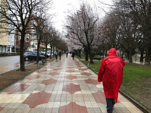 Camino de Mansillas las Mulas a León