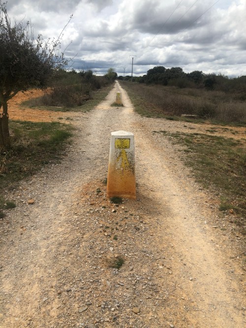 De Hospital de Órbigo a Rabanal del Camino