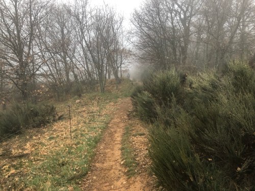 Rabanal del Camino a Molinaseca