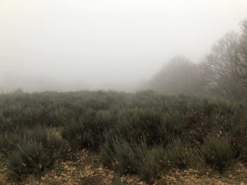 Rabanal del Camino a Molinaseca