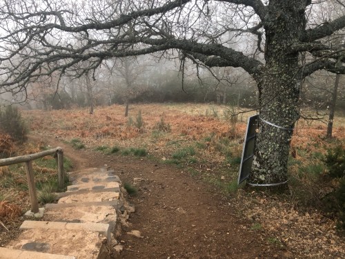 Rabanal del Camino a Molinaseca