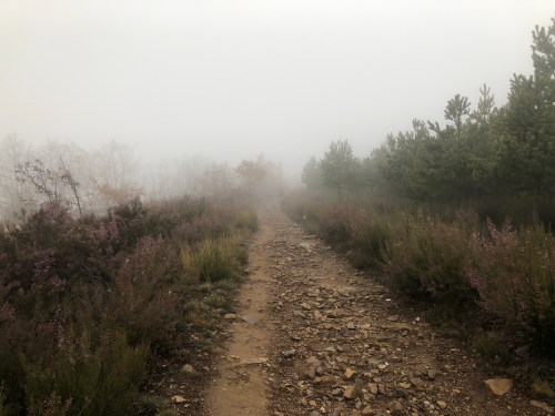 Rabanal del Camino a Molinaseca
