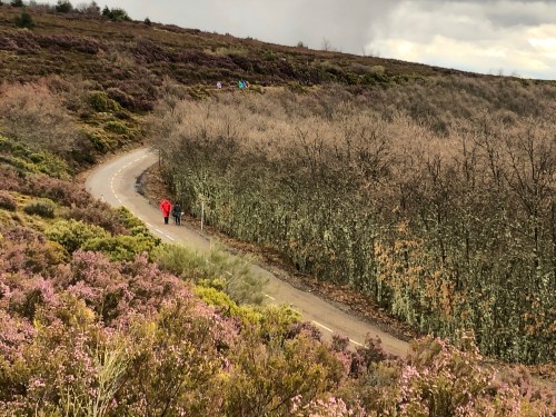 Rabanal del Camino a Molinaseca
