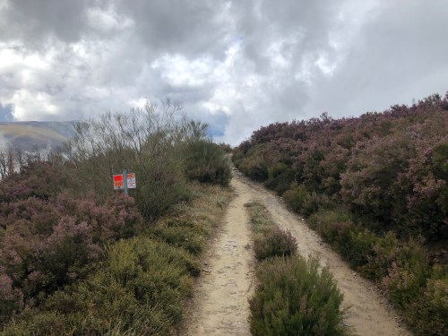 Rabanal del Camino a Molinaseca