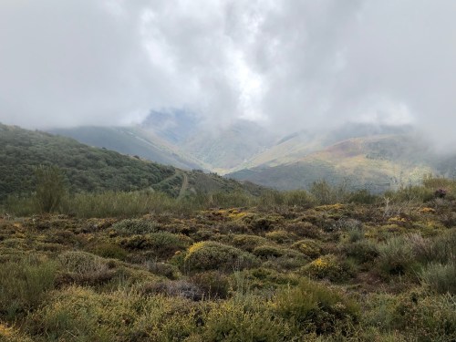Rabanal del Camino a Molinaseca