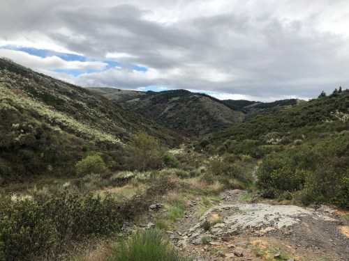 Rabanal del Camino a Molinaseca