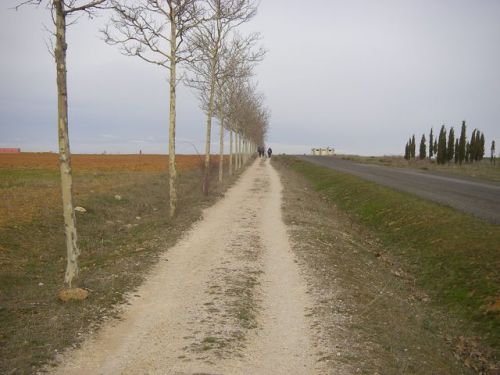 Camino a Mansilla de las Mulas