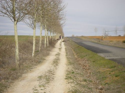 Camino a Mansilla de las Mulas