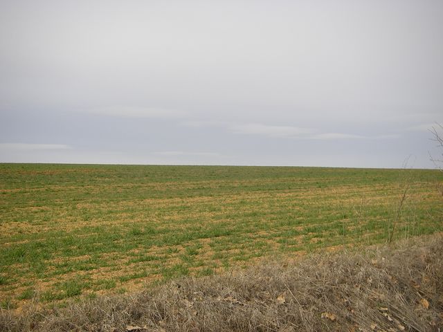 De Sahagún a Mansila de las Mulas