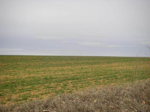 De Sahagún a Mansila de las Mulas