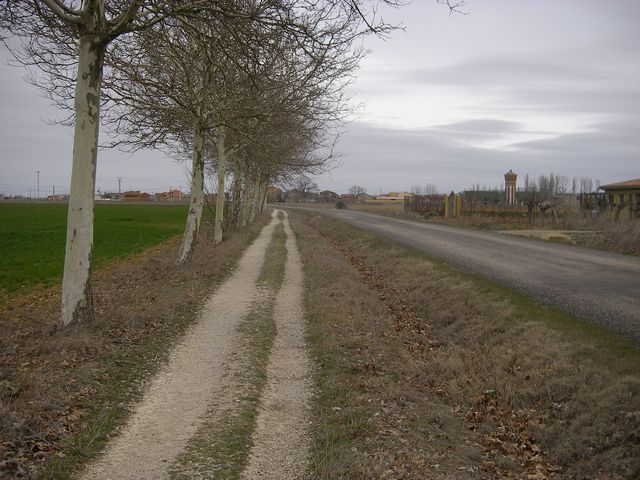 Camino a Mansilla de las Mulas