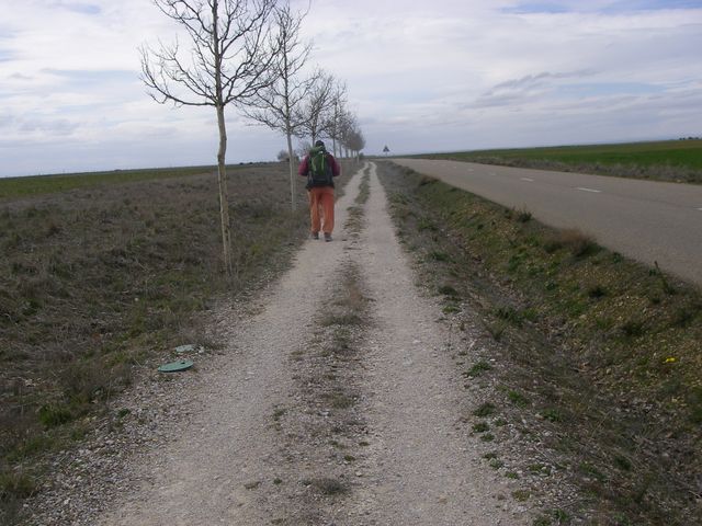 Camino a Mansilla de las Mulas