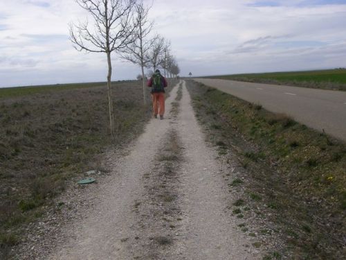 Camino a Mansilla de las Mulas