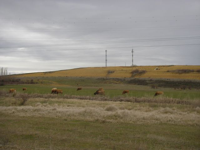 De Mansilla de las Mulas a León