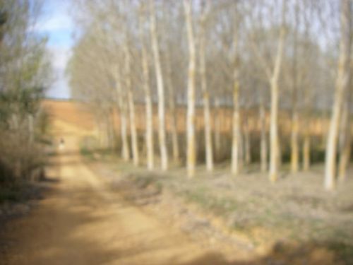 De Hospital de Órbigo a Rabanal del Camino