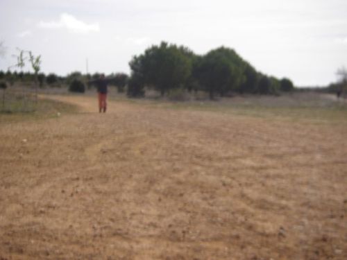 De Hospital de Órbigo a Rabanal del Camino